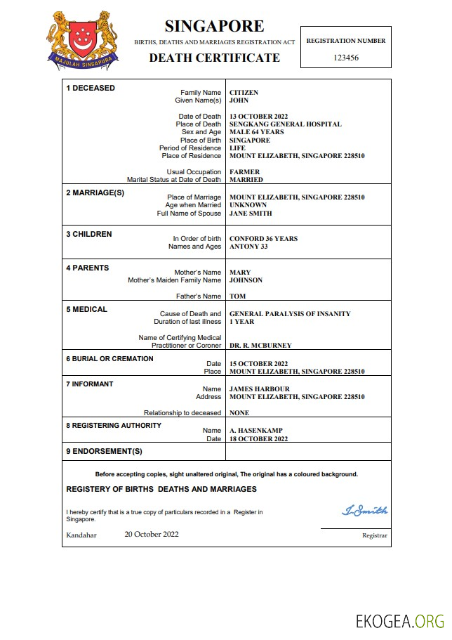 Modèle Word et PDF de certificat de décès de l'état civil de Singapour